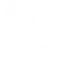 9Lives logo