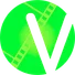 MyVidster2025 logo